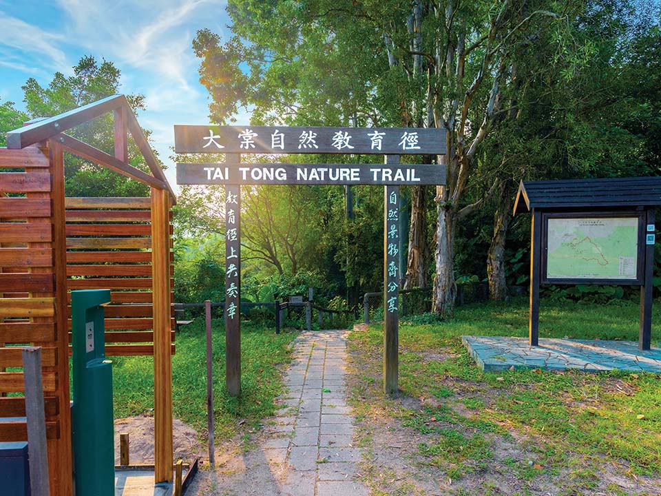 大棠自然教育径（Tai Tong Nature Trail）